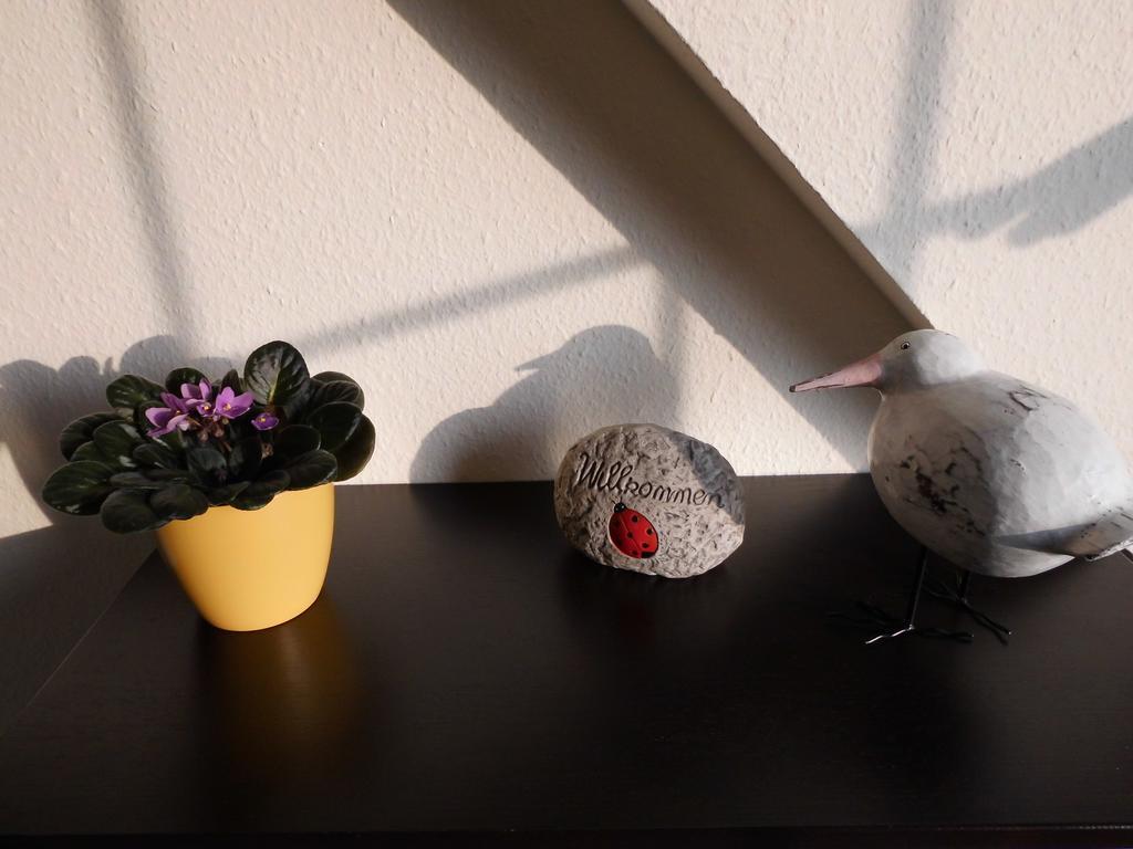 Ferienwohnung Am Selenter See 외부 사진